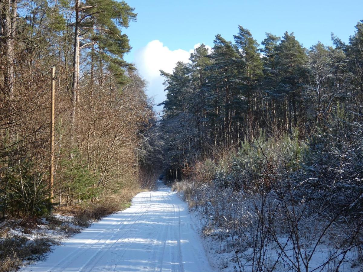 Apartmán Ferienhaus Mit 2 Fewo In Mecklenburg Wesenberg Exteriér fotografie