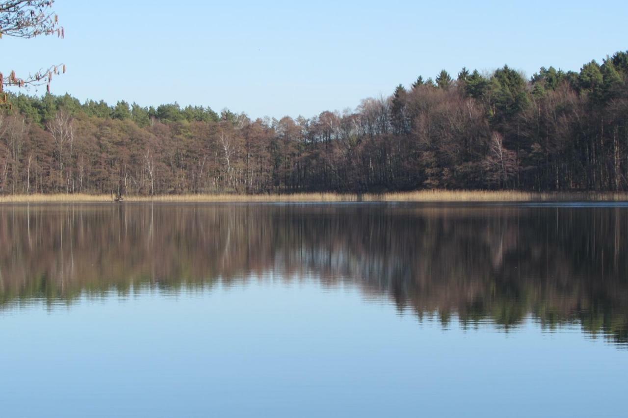 Apartmán Ferienhaus Mit 2 Fewo In Mecklenburg Wesenberg Exteriér fotografie